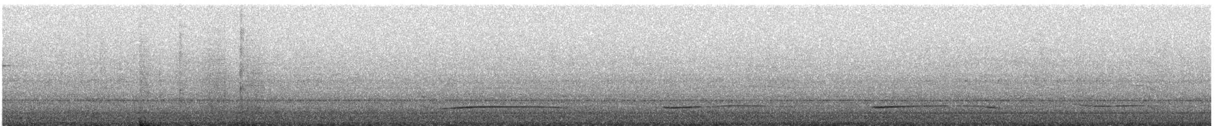 Gaviota Occidental x de Bering (híbrido) - ML155530331