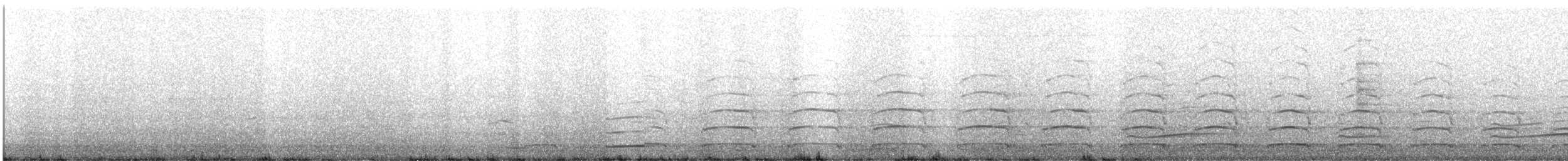 Gaviota Occidental x de Bering (híbrido) - ML155534901