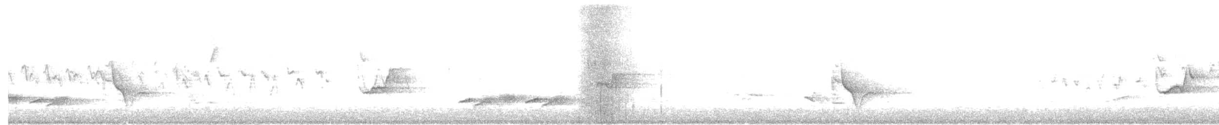 Graukopfvireo - ML155577791