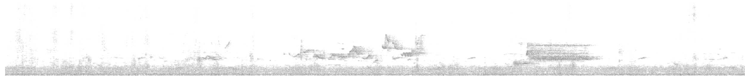 Eastern Warbling Vireo - ML155577871