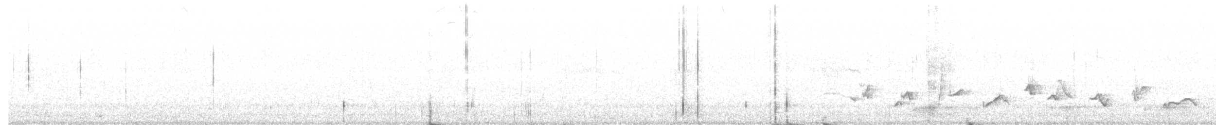 Черноголовый толстонос - ML155617431