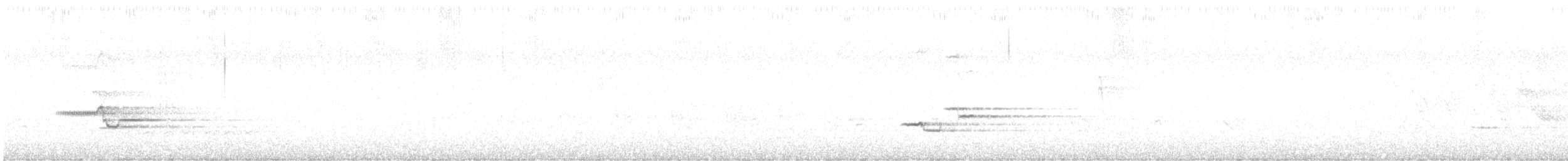 Wood Thrush - ML155694901