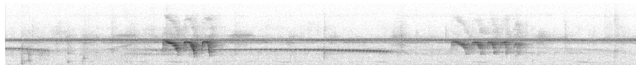 Тиранчик-тонкодзьоб південний - ML155707401