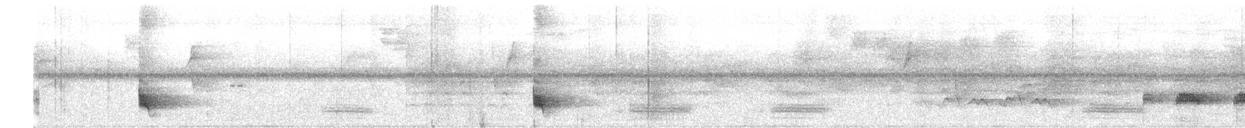 Swallow-tailed Manakin - ML155708101