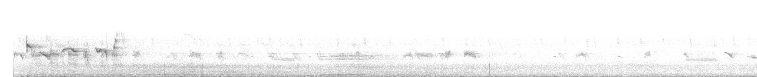 Kara Taşkuşu - ML155757531
