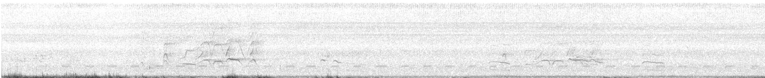 Kara Karınlı Islıkçı Ördek - ML155771281
