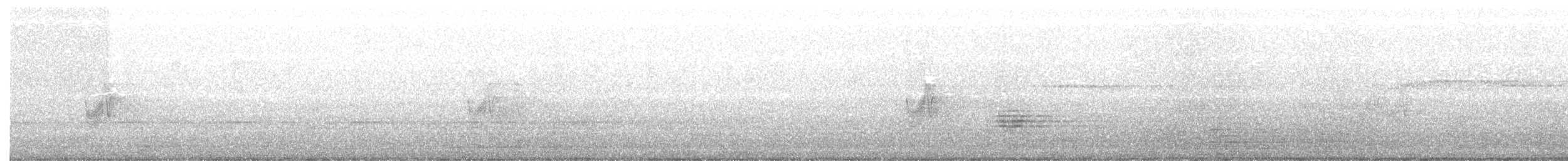 Savannennachtschwalbe - ML155790191