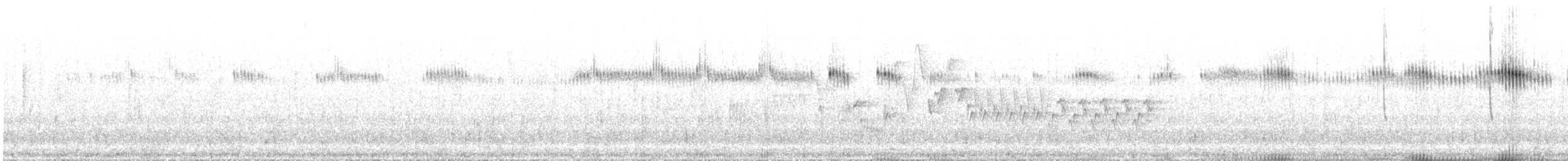 Широкохвостый колибри - ML155839351