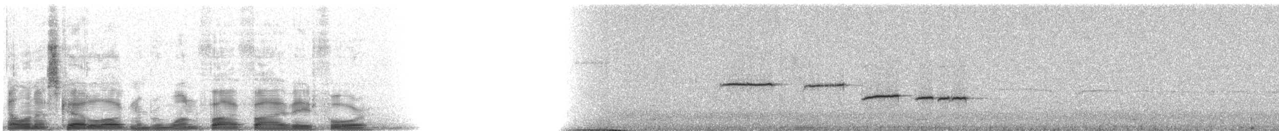 Белогорлая зонотрихия - ML15584