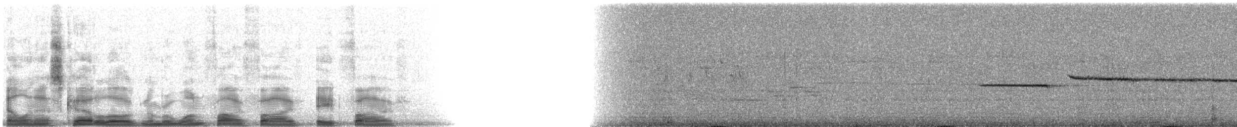 Белогорлая зонотрихия - ML15585