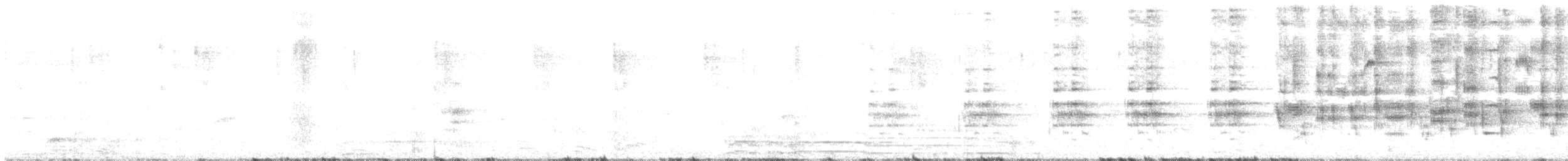 tøylesolitærtrost - ML155928031