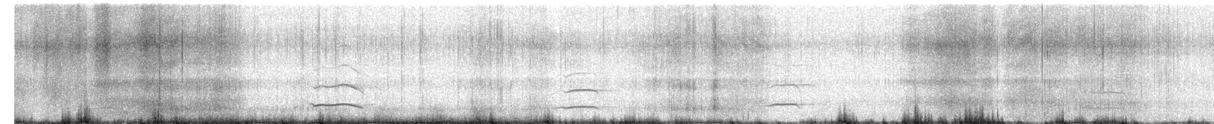 Желтоклювая лысуха - ML155930941