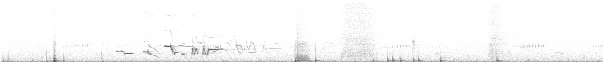 Western Meadowlark - ML155954111