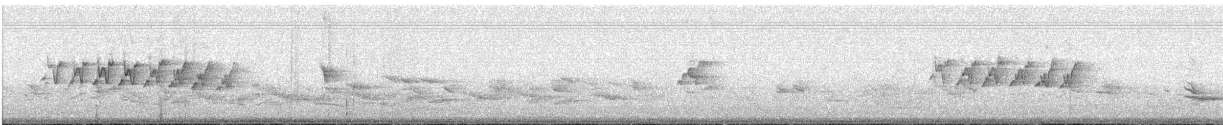 Loxopse de Kauai - ML155975631