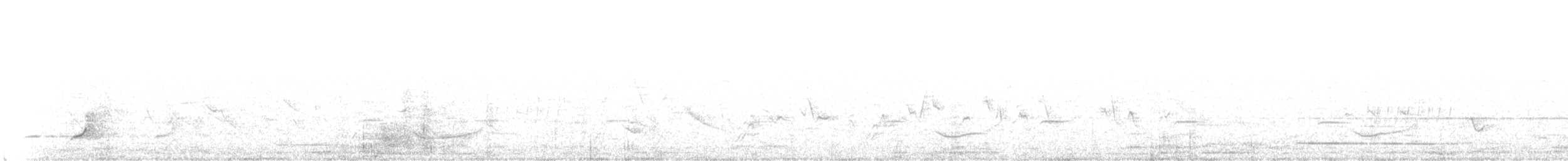 Crested Bobwhite - ML155980761