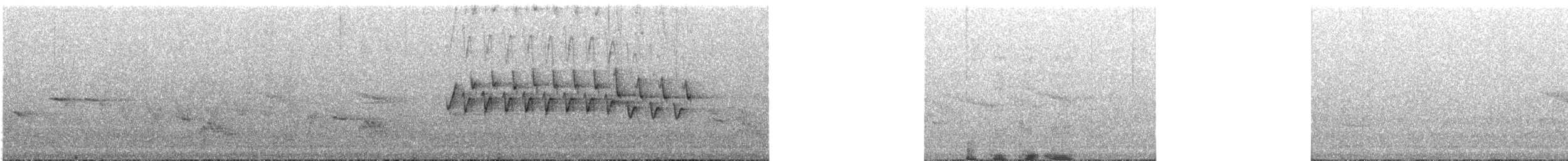 Loxopse de Kauai - ML155991721