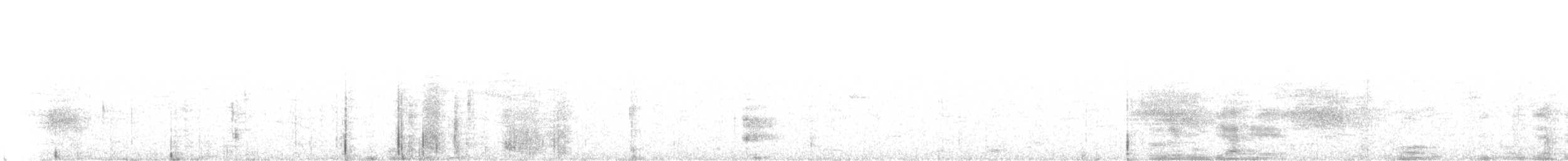 Chara de Steller (grupo coronata) - ML155997261
