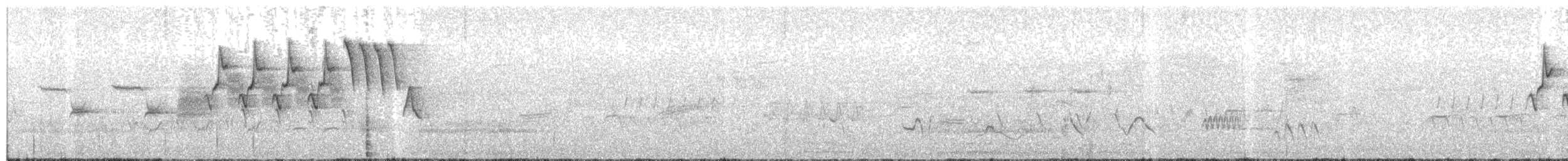 Yellow Warbler (Northern) - ML156052401