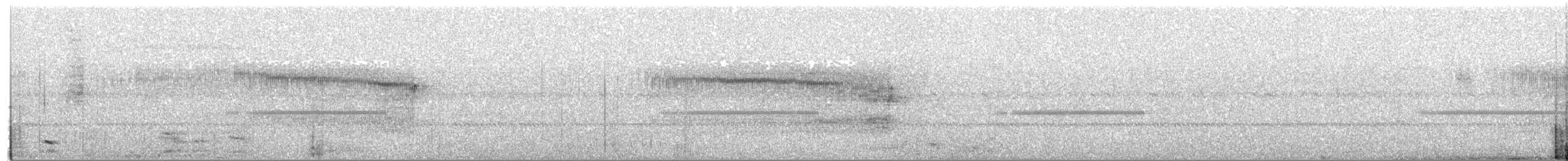 Сипуха темно-бура (підвид tenebricosa/arfaki) - ML156062871