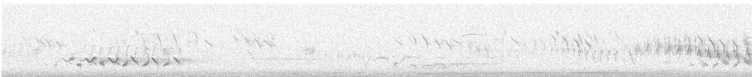 Western Orphean Warbler - ML156113251