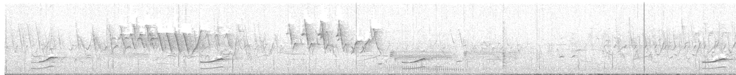 Carolinasumpfhuhn - ML156144051