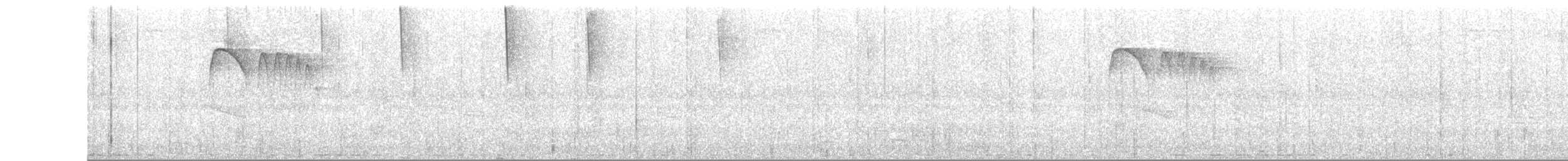 Ashy-headed Tyrannulet - ML156154041
