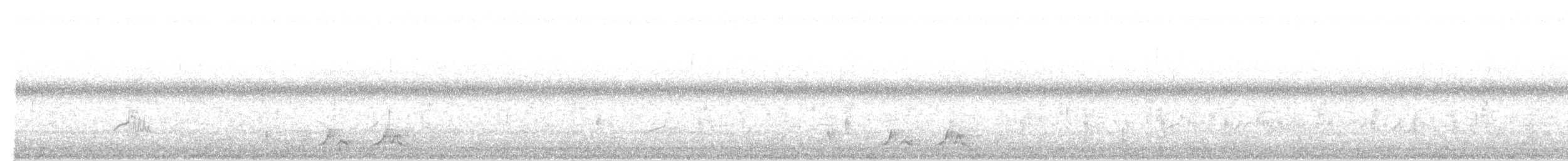 Carolinanachtschwalbe - ML156162841