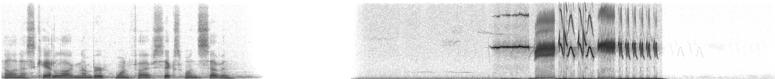 White-crowned Sparrow - ML15617