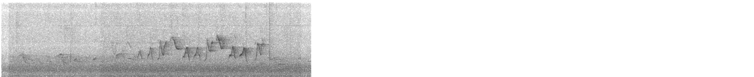 Canada Warbler - ML156177541