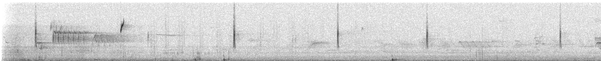 Paruline à croupion jaune (coronata) - ML156244021