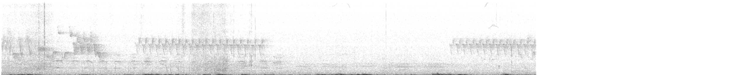 raroh prériový - ML156249331