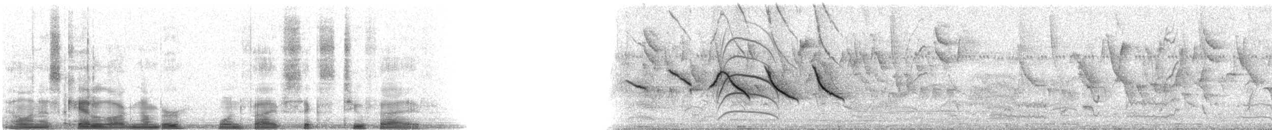 Rufous-collared Sparrow - ML15625