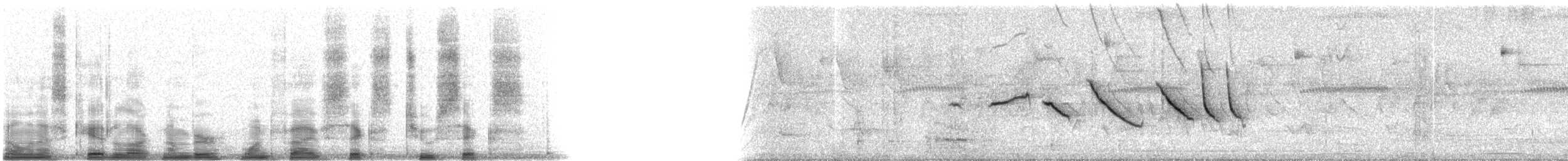 Rufous-collared Sparrow - ML15626