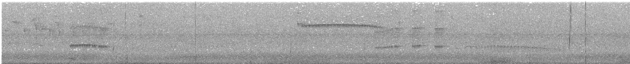 Microtyran chevelu - ML156270901