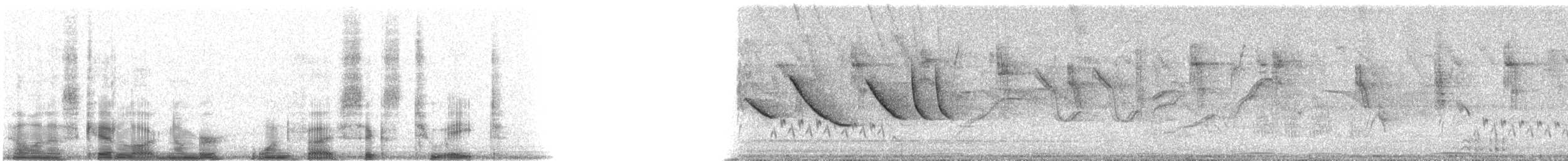 Rufous-collared Sparrow - ML15628