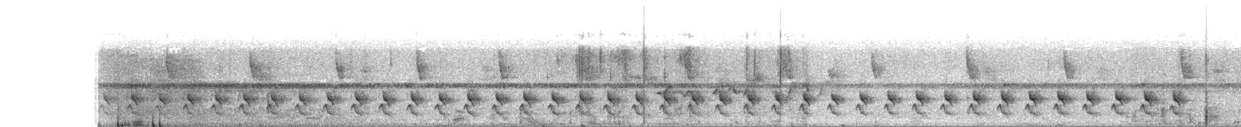 Magdalena Tapaculo - ML156317761