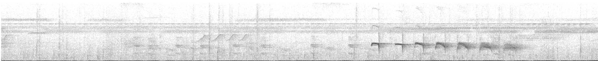 Темнохвостая иглохвостка - ML156325911
