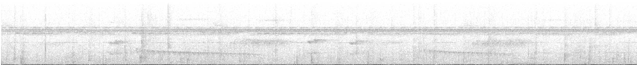 Weißflanken-Ameisenschlüpfer - ML156335461