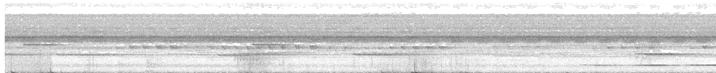 Great Tinamou - ML156409851