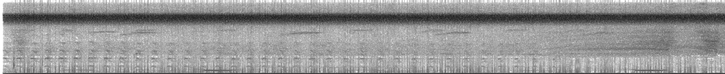 Zigzag Heron - ML156421011