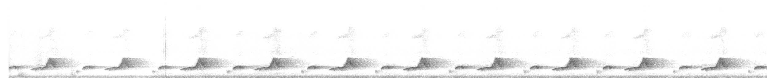 Schwarzkehl-Nachtschwalbe - ML156512531