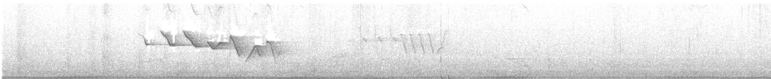 Трясогузковый певун - ML156582021