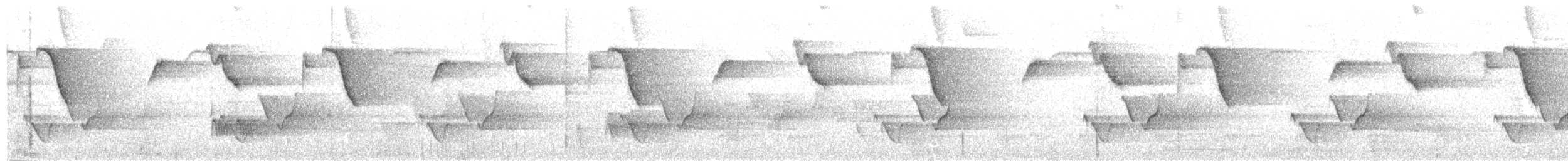 Perija Brushfinch - ML156583071