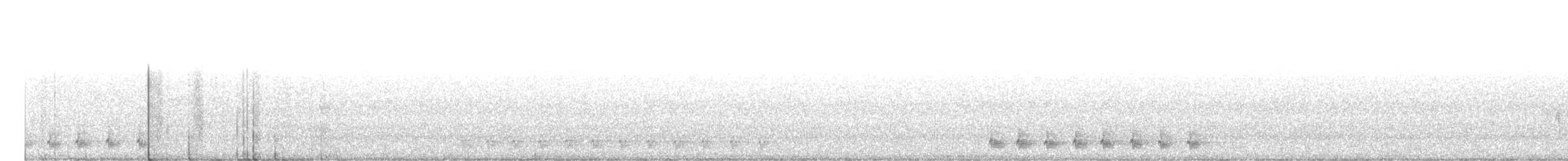 White-eared Honeyeater - ML156592971