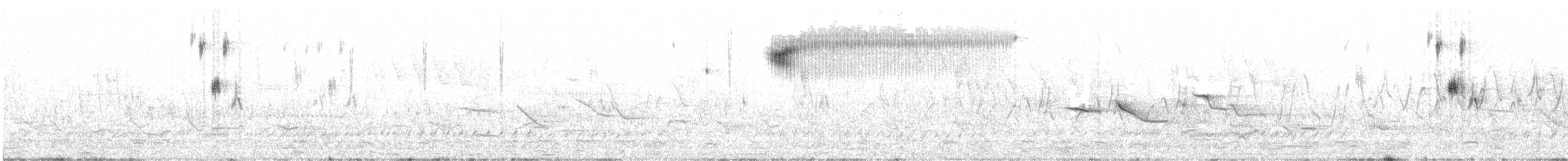 brakkspurv - ML156672861