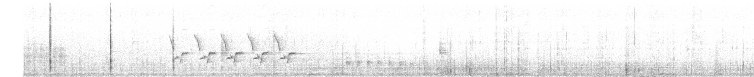 Каролинский крапивник - ML156688981