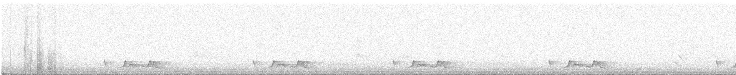 Carolinanachtschwalbe - ML156702801
