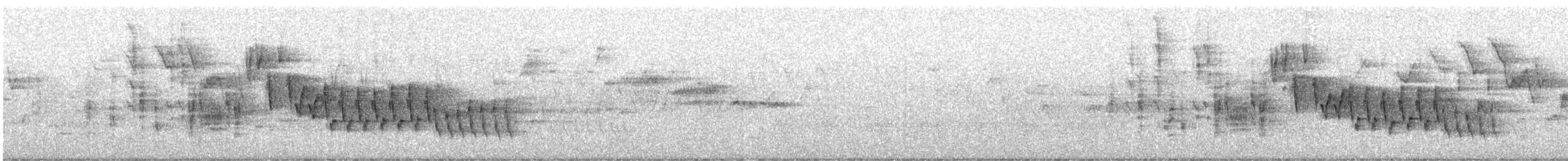 Northern House Wren - ML156709821