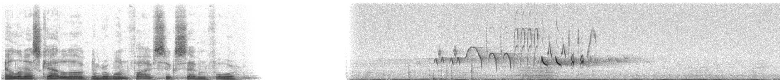 גיבתונית חומת-זנב - ML15674