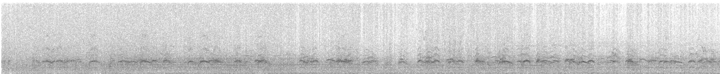 Black-necked Stilt - ML156747121